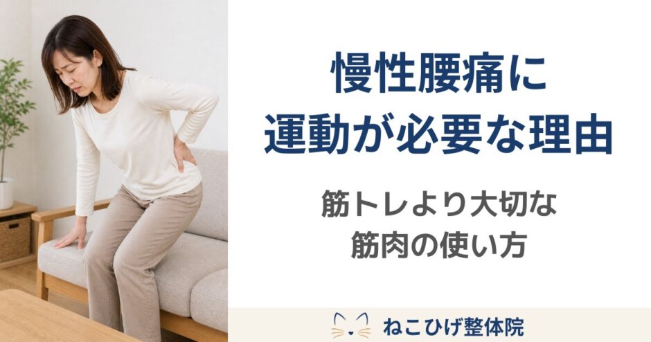 慢性腰痛の改善のために、運動が必要そうな女性のイメージ画像。