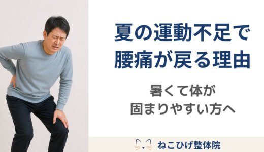 暑くて運動不足になると腰痛が戻りやすい理由｜夏に体が固まりやすい方へ