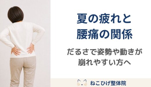 夏の疲れと腰痛の関係｜だるさが続くと姿勢や動きが崩れやすい理由