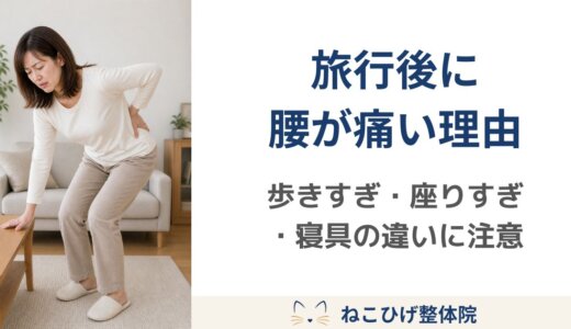 夏の旅行後に腰が痛くなる理由｜歩きすぎ・座りすぎ・寝具の違いに注意